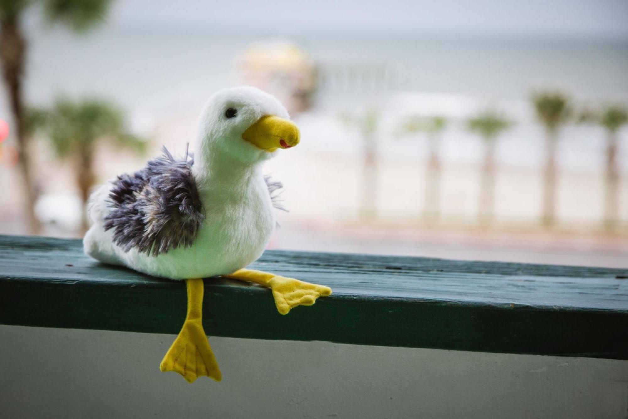 Cdm 303 - Sandy Seashore Solace Galveston Esterno foto